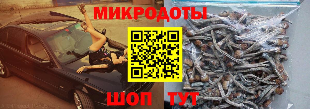 Северобайкальск  Псилоцибиновые грибы Magic Shrooms  Вход с VPN 